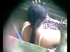 লোমশ, দারুন, স্বর্ণক ...