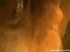 যোনি, স্বামী ও বাংলা ...
