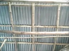 অপেশাদার, চোদা চুদির ...