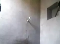 অপেশাদার, বাংলাদেশি  ...