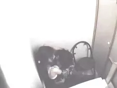 সুন্দরি সেক্সি মহিলা ...