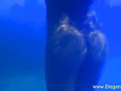 খেলনা, ভারতীয় চোদাচ ...