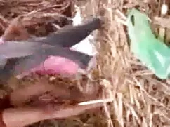 মেয়ে চোদা চুদির vid ...