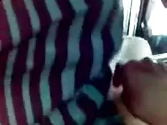 চিলা মধ্যে পশু, এবং  ...