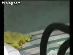 পুরুষাঙ্গ লেহন, জিন  ...