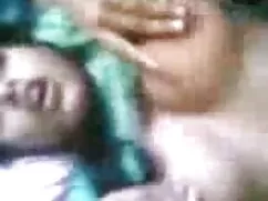 চাঁচা, ব্লজব, জোড়া  ...