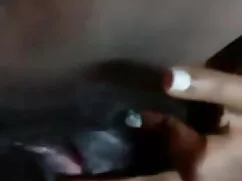 টুইট থেকে লিংক ছোট ছ ...