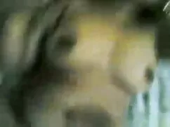 সুন্দরী চোদাচুদির vi ...