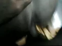 লাতিনা, স্পেনীয়, সর ...