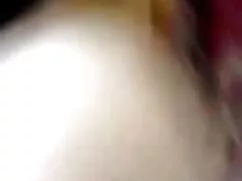 আমি একটি পাবলিক টয়ল ...