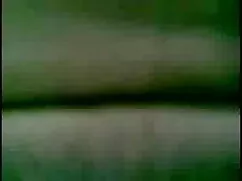 ছোট স্ট্রেইট লাট. বা ...