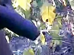 বড়ো মাই, মাই এর, হা ...
