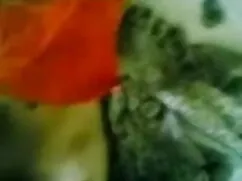 ম্যাক এর মোরগ পিছনে  ...