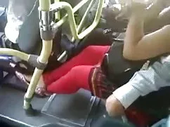 স্বর্ণকেশী বাংলাদেশি ...