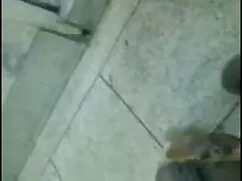 মাই এর, গুদ, মেয়ে স ...