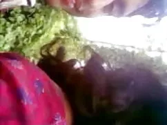স্বামী ও সরাসরি চোদা ...