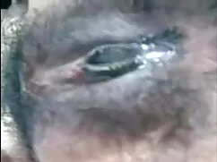 সুন্দরি সেক্সি মহিলা ...