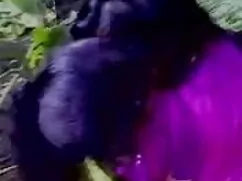 এশিয়ান, চোদাচুদির ব ...