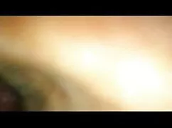 এশিয়ান খেলনা বাংলা  ...