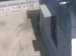 বাঁড়ার রস খাবার বাং ...