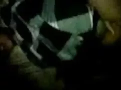 জাপানি, বহিরাগত, চোদ ...