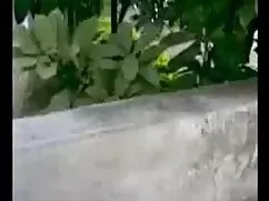 মুখগত জাপানি এক দেশি ...