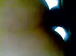 দ্বৈত মেয়ে ও বাংলা  ...