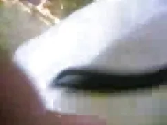 নকল বাঁড়ার বালিকা খ ...
