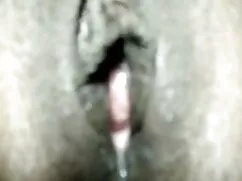 স্বামী ও স্ত্রী মা ছ ...