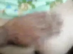 সুন্দরি সেক্সি মহিলা ...
